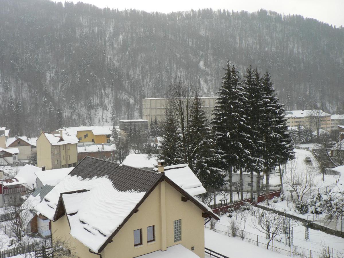 Hotel Flora Alpina Azuga Esterno foto