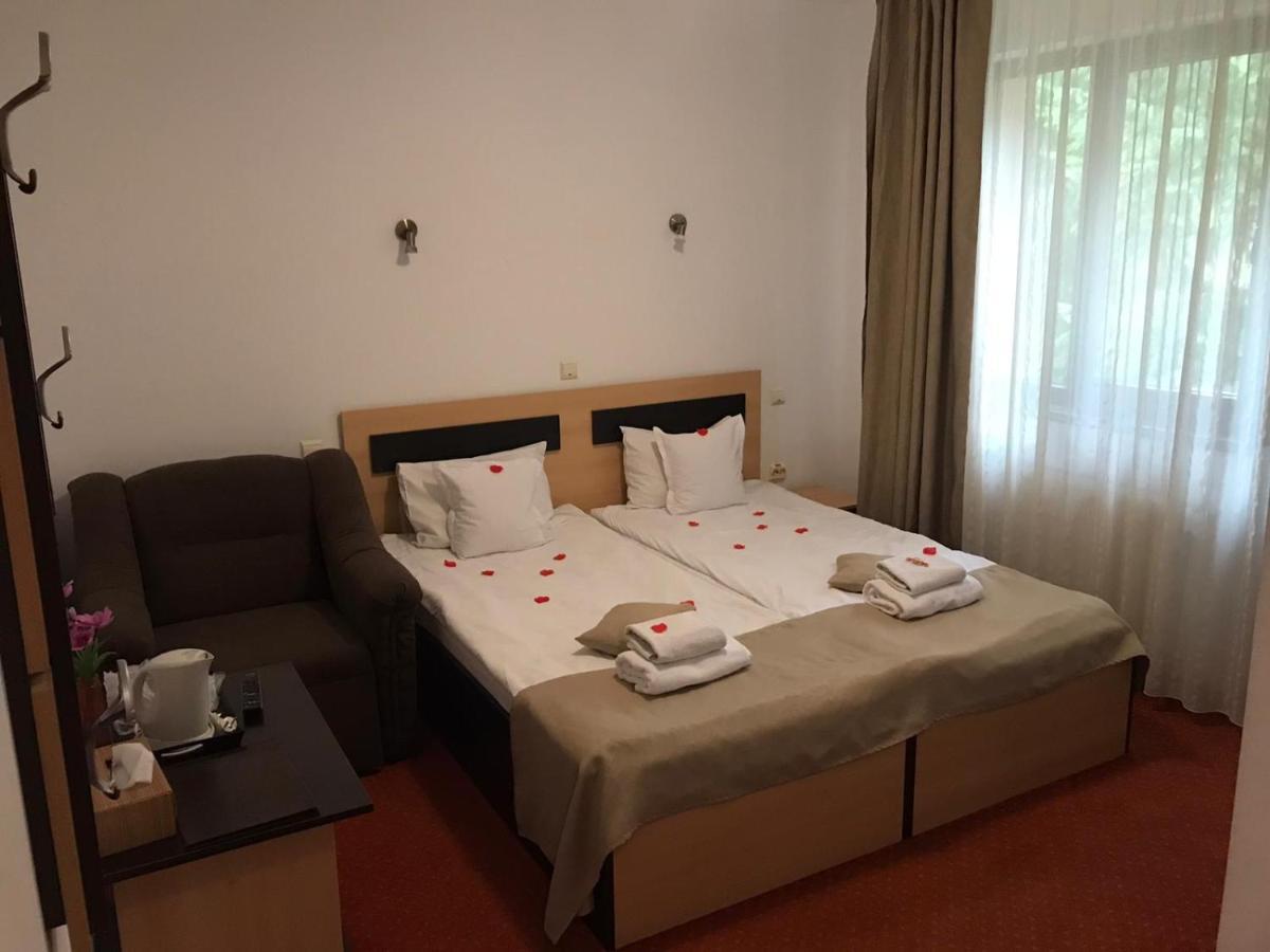 Hotel Flora Alpina Azuga Esterno foto