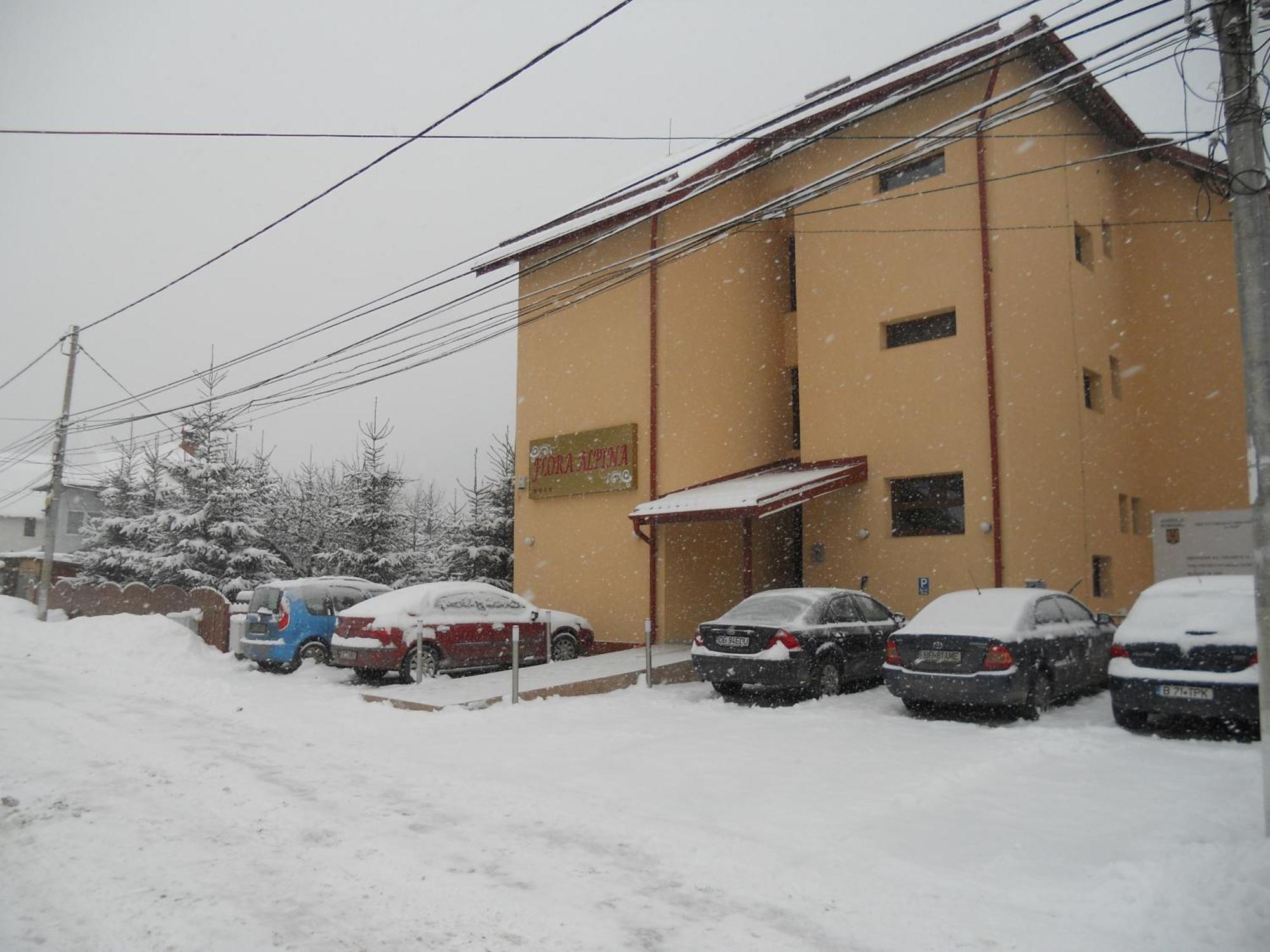 Hotel Flora Alpina Azuga Esterno foto